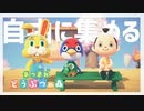 ウサギの着ぐるみをきたウサギがいる島【あつまれ　どうぶつの森】#4