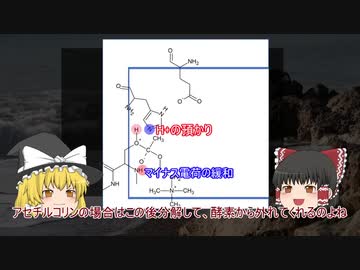 サリンが体内で起こす化学反応【ゆっくり化学解説】