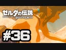 【実況】リンクのハイラル道中膝栗毛 part36【ゼルダの伝説BotW】