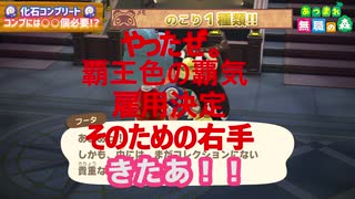 【あつ森】博物館を完成させた無職UC【化石全種類コンプ】