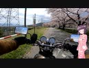 【SR400】20世紀最後のバイクと桜を見る【京町セイカ】