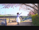 【ぽちゃり】奇跡さえも　踊ってみた【ネット超会議応援！】