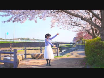 【ぽちゃり】奇跡さえも　踊ってみた【ネット超会議応援！】