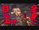 【Bloodborne】｜高難易度ブラッドボーン｜全身に目ん玉くっつけた｜【初見実況】part25
