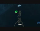 依頼を受けて、ゾーラの里近くの湾曲した湖で回転してみた