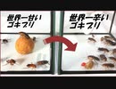 世界で一番甘いゴキブリを「激辛なゴキブリ」の群れにつっこんだら、想像を絶する結果になった。