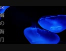 深海の海月【0.4иic】