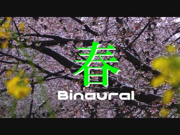 春 Binaural