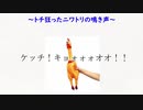 ＣＯＤの虫きっっっっっも！！！！！！！！