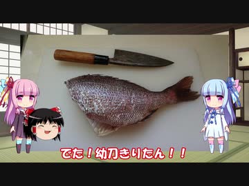 琴葉姉妹と行く釣行記録（釣り堀編part6）