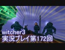 探し人を求めてwitcher3実況プレイ第172回