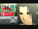【ナルスト３】木の葉、再び　part25