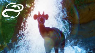 #15 初のふれあい飼育エリア！ オカピ達の住処を作ろう！【Planet Zoo・建築実況】