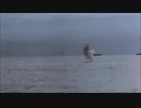 Boom! Boom! Boom! Boom!