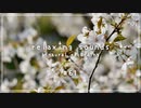 低粘度オイルでマッサージ - 春の朝の環境音【入眠用BGM #61】