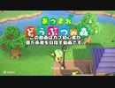 【あつまれどうぶつの森】カブで億万長者を目指す男＃初週