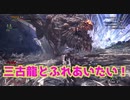 【狩りをしないモンスターハンターワールド：アイスボーン】絽紗のモンハン「ゾンビで三古龍とふれあい編」