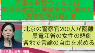 【YouTube不適切認定動画】#017北京の警察官200人が隔離？/黒竜江省の女性の悲劇/各地で言論の自由を求める声