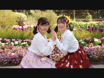 【かなでこ×といこ】おひめさまになりたいのッ！ 踊ってみた【初コラボ】