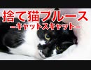 保護猫たちの想いが詰まった悲しい歌声で！僕たちを捨てないで・・・。