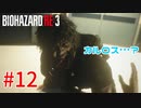 選ばれたのは、バイオハザードRE:3でした。【第12話 】