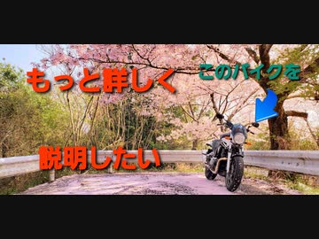 【BT1100】愛車紹介動画の補足的な動画【Bulldog】