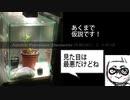 【テスト動画】アカヒレ【ゆっくり】