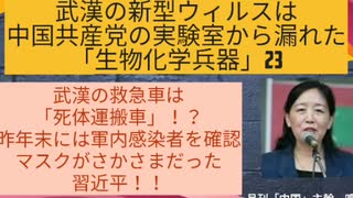 【YouTube不適切認定動画】#023武漢の救急車は 「死体運搬車」！？/ 昨年末には軍内感染者を確認 /マスクがさかさまだった 習近平！！