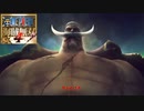 【Switch】One Piece 海賊無双4 をやる Part 14【初見】