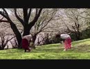 【こなどん】I meets You‼︎【踊ってみた】