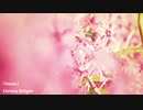 「Home」
