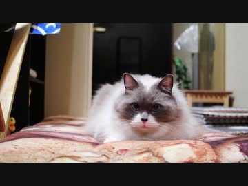 なぜか被害を受けてしまう玄関ドア