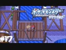 人からもらえるものだけでポケモンダイヤモンドpart17
