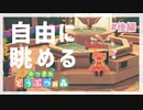 離島に確実にそぐわない郷土資料館【あつまれ　どうぶつの森】#５後編