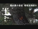 【MHWI】環境生物最大最小金冠紹介69ドスヘラクレス