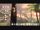 【MHWI】環境生物最大最小金冠紹介70ゴールデンヘラクレス