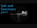 【Salt_and_Sanctuary】2D世界の呪われた島を初見探索【実況】part1
