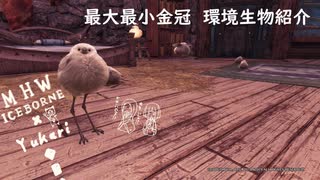 【MHWI】環境生物最大最小金冠紹介73フワフワクイナ