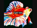 night falls / EARTHVASE