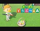 無敵のキャンチョメ様【あつまれどうぶつの森】　#16