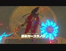 【ゼル伝BotW】100年の眠りから目覚めた勇者の冒険１２６【もちまる】
