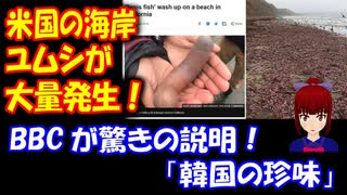 【海外の反応】 米国の ビーチに ユムシが 大量発生！ BBCは 驚きの説明 「韓国の珍味！」