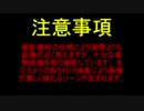 カメラマウントテスト動画