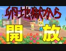 【あつ森】ゆる～くやるどうぶつの森【12日目】