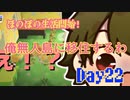 ほのぼのと無人島で生活していく！Day22【あつまれ！どうぶつの森】