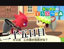 【実況】貴方ポケモンに出てませんでした？【あつまれ どうぶつの森】二十五日目