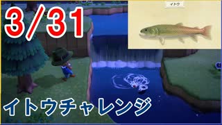 【3/31】今更イトウ釣りに挑戦！【集まるな陰キャの森#8】