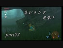 【ゼルダの伝説ブレスオブザワイルド】私は忍びにはなれない・・・【実況プレイ】part23