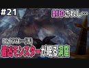 【DQMJ2P実況 #21】断崖探索中に見てはイケナイモノを見つけてしまいました…【立入禁止区域】ドラクエジョーカー2プロフェッショナルを初見実況プレイ！