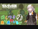 【ゼルダの伝説BotW】ほしつきありあわいるどPart23【VOICeVI実況】